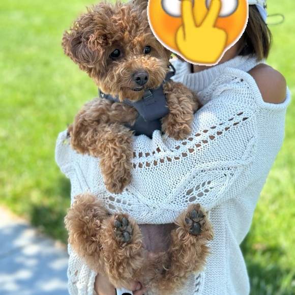 ZARA OPEN KNIT CUT OUT SWEATER - Picture 2 of 3